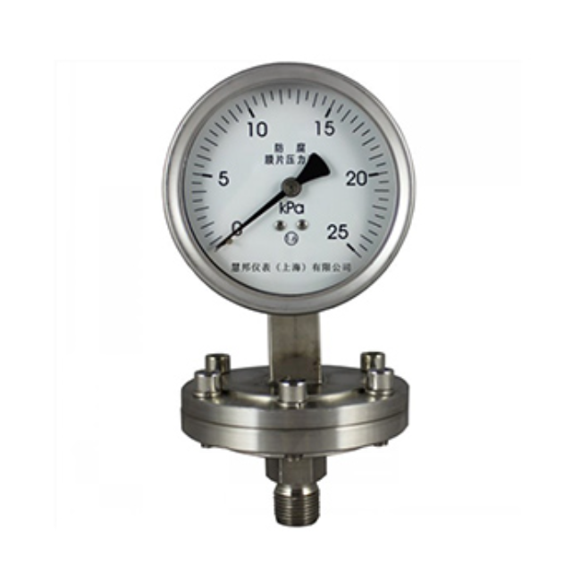 法蘭膜片壓力表